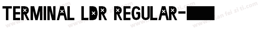 Terminal LDR Regular字体转换